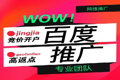 SEM服务托管：提升广告效果的成功案例解析