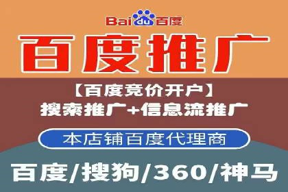 谷歌SEM与移动端优化：某APP的推广策略及效果